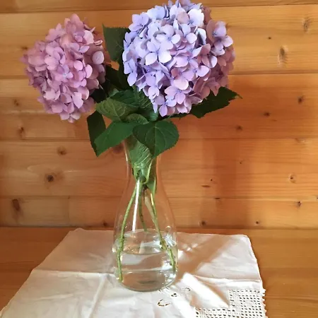 Wein-chalet W141 بيت للعطل Weinburg am Sassbach