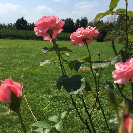 Casa vacanze Wein-chalet W141 *