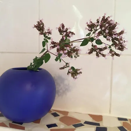 Wein-chalet W141 Weinburg am Sassbach