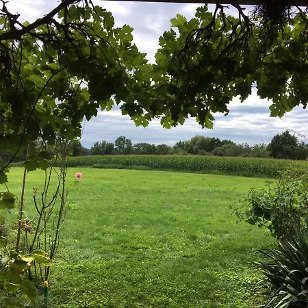 Wein-chalet W141 Weinburg am Sassbach