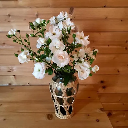 Wein-chalet W141 Casa vacanze