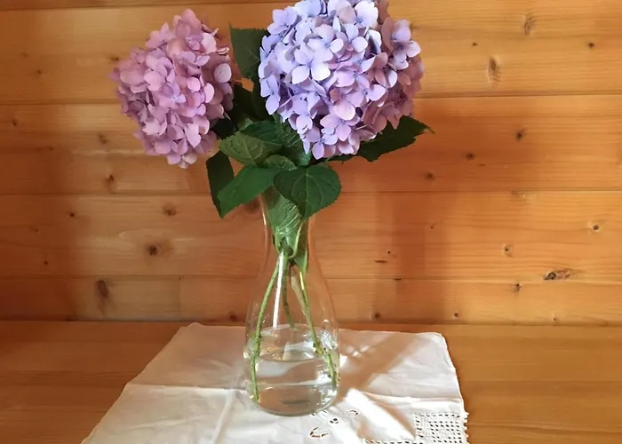 Wein-chalet W141 بيت للعطل Weinburg am Sassbach