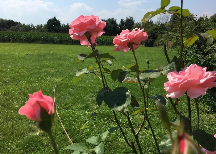 度假居 Wein-chalet W141 *