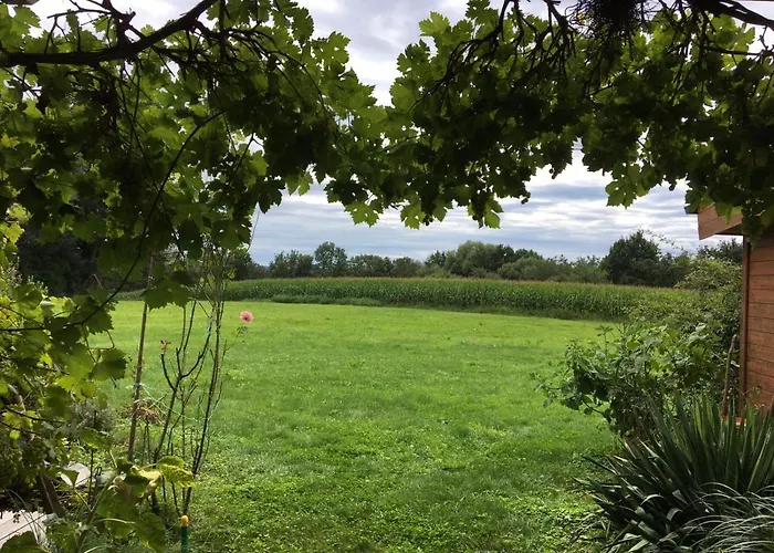 Wein-chalet W141 Weinburg am Sassbach