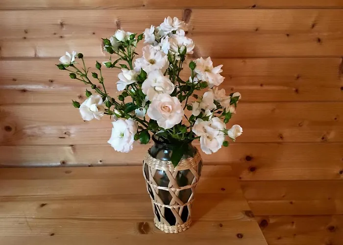 Wein-chalet W141 度假居